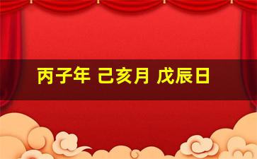 丙子年 己亥月 戊辰日